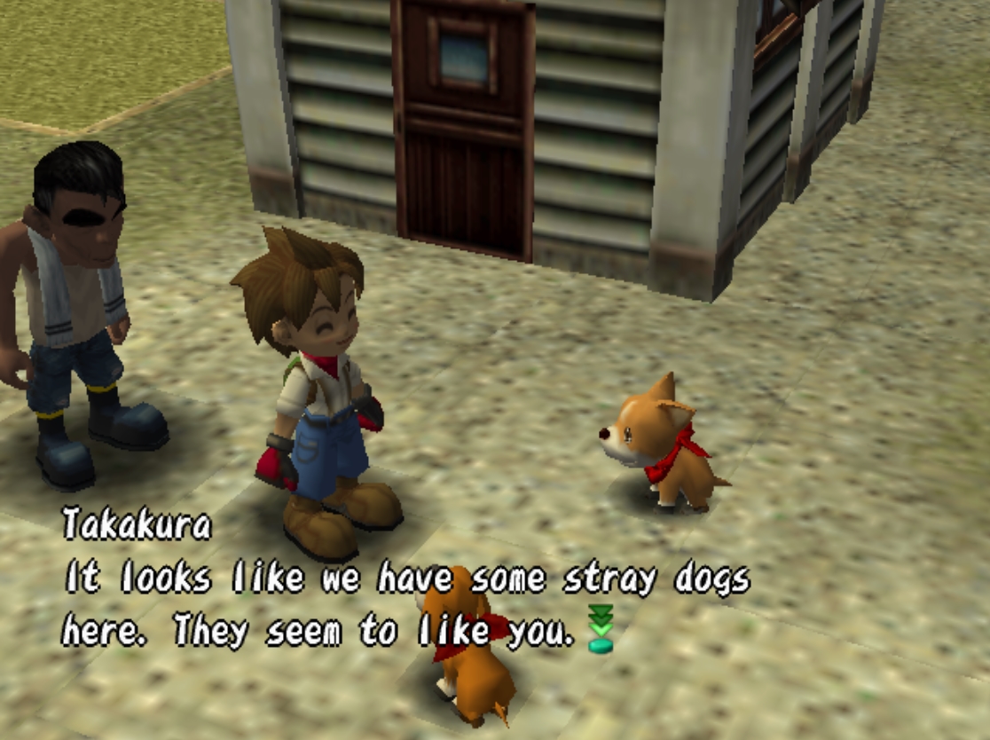 Harvest moon a wonderful life iso download gamecube rom